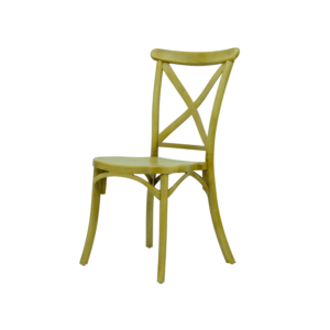 Markiz Sandalye açık renk plastik organizasyon modeli